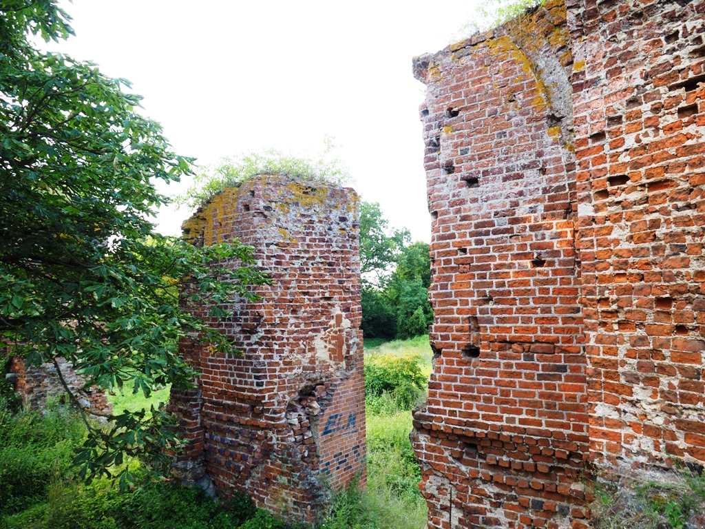 ruiny zamku w pokrzywnie