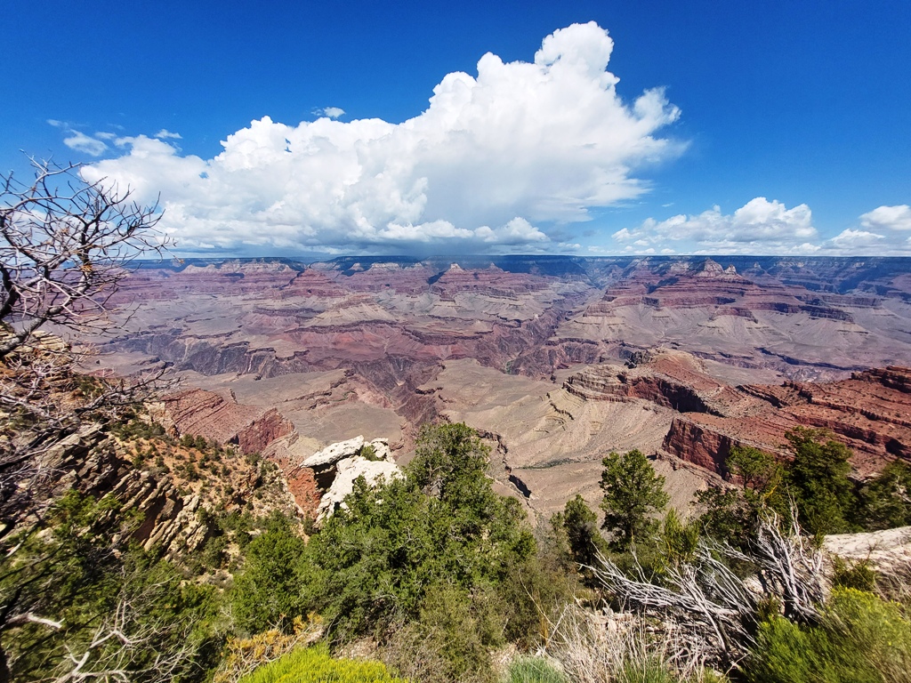 Mather Point 